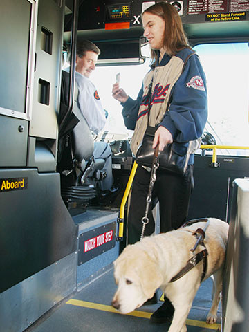 Photo of rider boarding the bus with a service animal