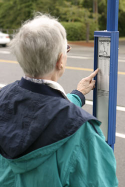 Photo of senior citizen reading a schedule at a bus stop