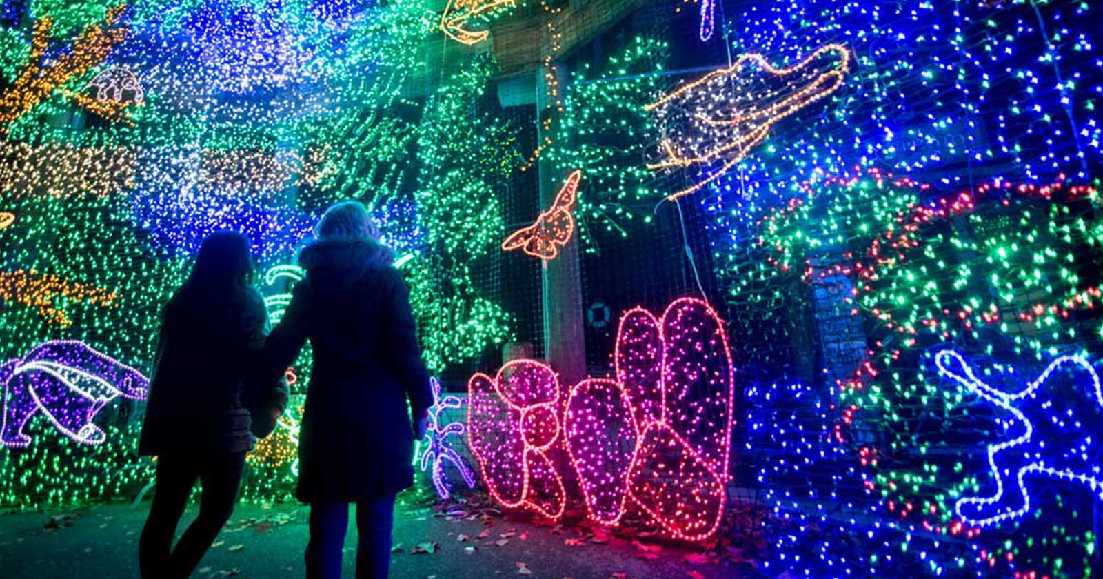photo of a couple looking at a ZooLights display