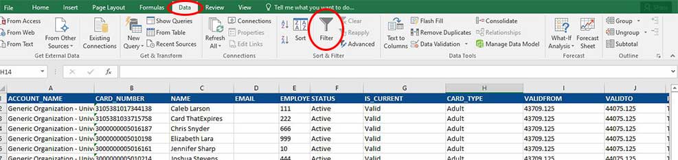 Data Tab and Filter on Excel Spreadsheet