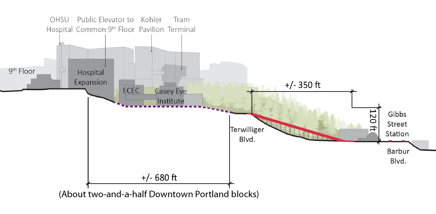 Profile and cross section